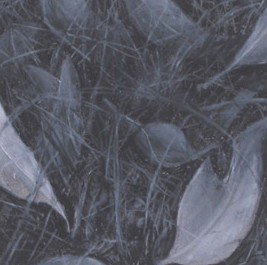 Gallery 110 Crystal - Lennox Head Accommodation 1