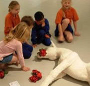 Hawkesbury Regional Gallery - Lennox Head Accommodation
