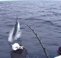 Amokura Charters - Lennox Head Accommodation