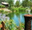 Gone Walkabout Safaris - Lennox Head Accommodation