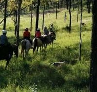 Hunter Valley Horse Riding and Adventures - Lennox Head Accommodation