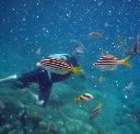Imagine Cruises - Lennox Head Accommodation
