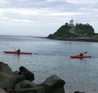 Newcastle Kayak Tours - Lennox Head Accommodation