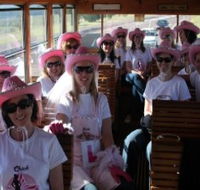 Newcastles Famous Tram - Lennox Head Accommodation