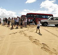 Port Stephens 4WD Tours - Lennox Head Accommodation