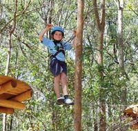 TreeTops Newcastle - Lennox Head Accommodation
