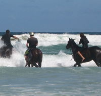 Pegasus Park Equestrian Centre - Lennox Head Accommodation