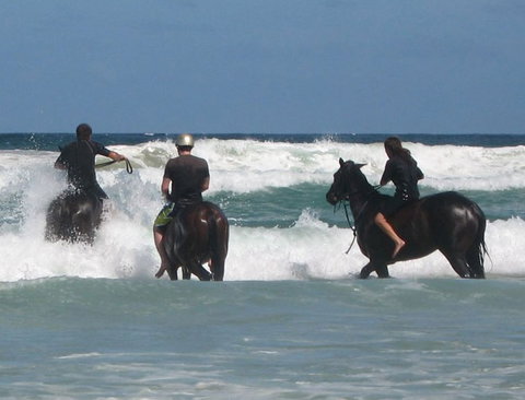 Pegasus Park Equestrian Centre - Lennox Head Accommodation 0