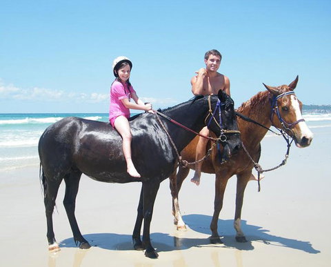 Pegasus Park Equestrian Centre - Lennox Head Accommodation 1