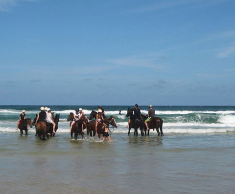 Pegasus Park Equestrian Centre - Lennox Head Accommodation 2