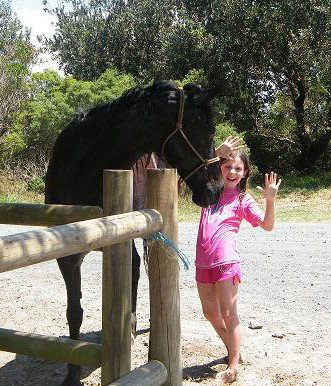 Pegasus Park Equestrian Centre - Lennox Head Accommodation 3