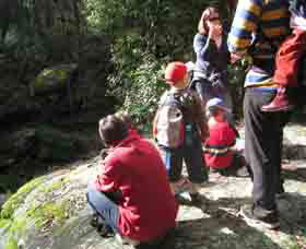 Boronia Tours - Lennox Head Accommodation 2