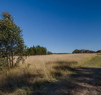 Scheyville horse riding trails - Lennox Head Accommodation