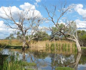 Lagoon Creek - Lennox Head Accommodation 0
