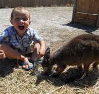 Animal Farm Goolwa - Lennox Head Accommodation