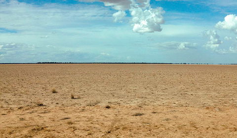 Toorale National Park - Lennox Head Accommodation 1