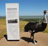 Birdman of the Coorong - Lennox Head Accommodation