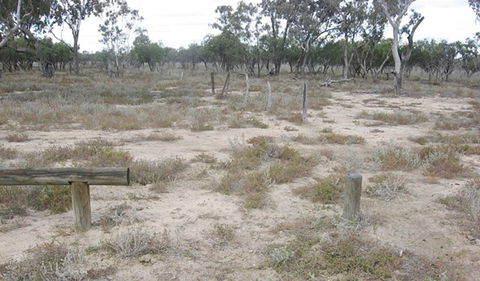 Culgoa Connellys Track - Lennox Head Accommodation 0