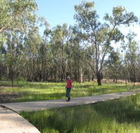 Ben Scott Memorial Bird Trail - Lennox Head Accommodation