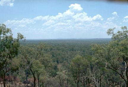 Ka Ka Mundi, Carnarvon National Park - Lennox Head Accommodation 1