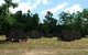 United Paintball - thumb 3