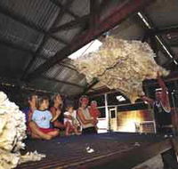 Shear Outback the Australian Shearers Hall of Fame - Lennox Head Accommodation