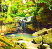 Carnarvon Gorge Carnarvon National Park - Lennox Head Accommodation