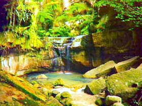 Carnarvon Gorge, Carnarvon National Park - Lennox Head Accommodation 0