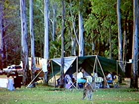 Carnarvon Gorge, Carnarvon National Park - Lennox Head Accommodation 2