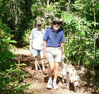 Wongabel State Forest - Lennox Head Accommodation