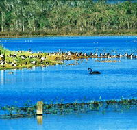 Hasties Swamp National Park - Lennox Head Accommodation