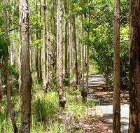 Hallorans Hill Conservation Park - Lennox Head Accommodation