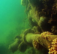 Wreck Diving at Magnetic Island - Lennox Head Accommodation