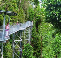 Mamu Tropical Skywalk - Lennox Head Accommodation