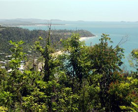 Clump Mountain National Park - Lennox Head Accommodation 1