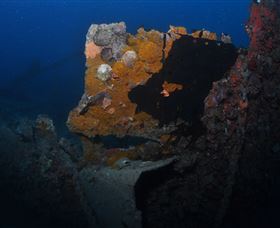 Lady Bowen Dive Site - Lennox Head Accommodation 0
