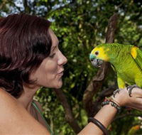 Birdworld Kuranda - Lennox Head Accommodation