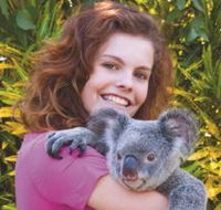 Kuranda Koala Gardens - Lennox Head Accommodation