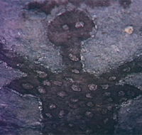 Quinkan Reserves Ancient Rock Art - Lennox Head Accommodation