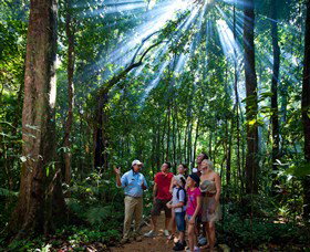 Mossman Gorge Centre - Lennox Head Accommodation 3