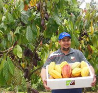 Sweet Farm Tours - Lennox Head Accommodation