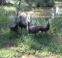 East Tolans Farm Tour - Lennox Head Accommodation