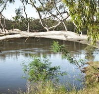 Murray Valley National Park - Lennox Head Accommodation