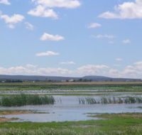 Fivebough Wetlands - Lennox Head Accommodation