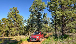 Book Narrandera NSW Attractions Lennox Head Accommodation Lennox Head Accommodation