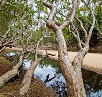 Oyala Thumotang National Park CYPAL - Lennox Head Accommodation