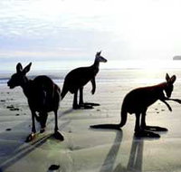 Hibiscus Coast - Lennox Head Accommodation