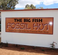 Big Fish Fossil Hut at Peak Hill - Lennox Head Accommodation