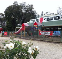 The Big Strawberry - Lennox Head Accommodation