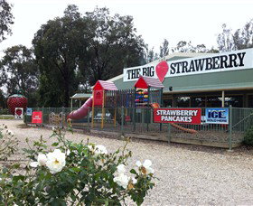 The Big Strawberry - Lennox Head Accommodation 0